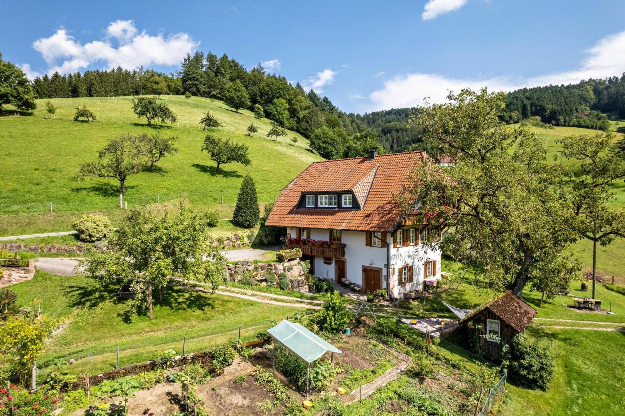 Ferienhaus Vollmer Nordrach エクステリア 写真