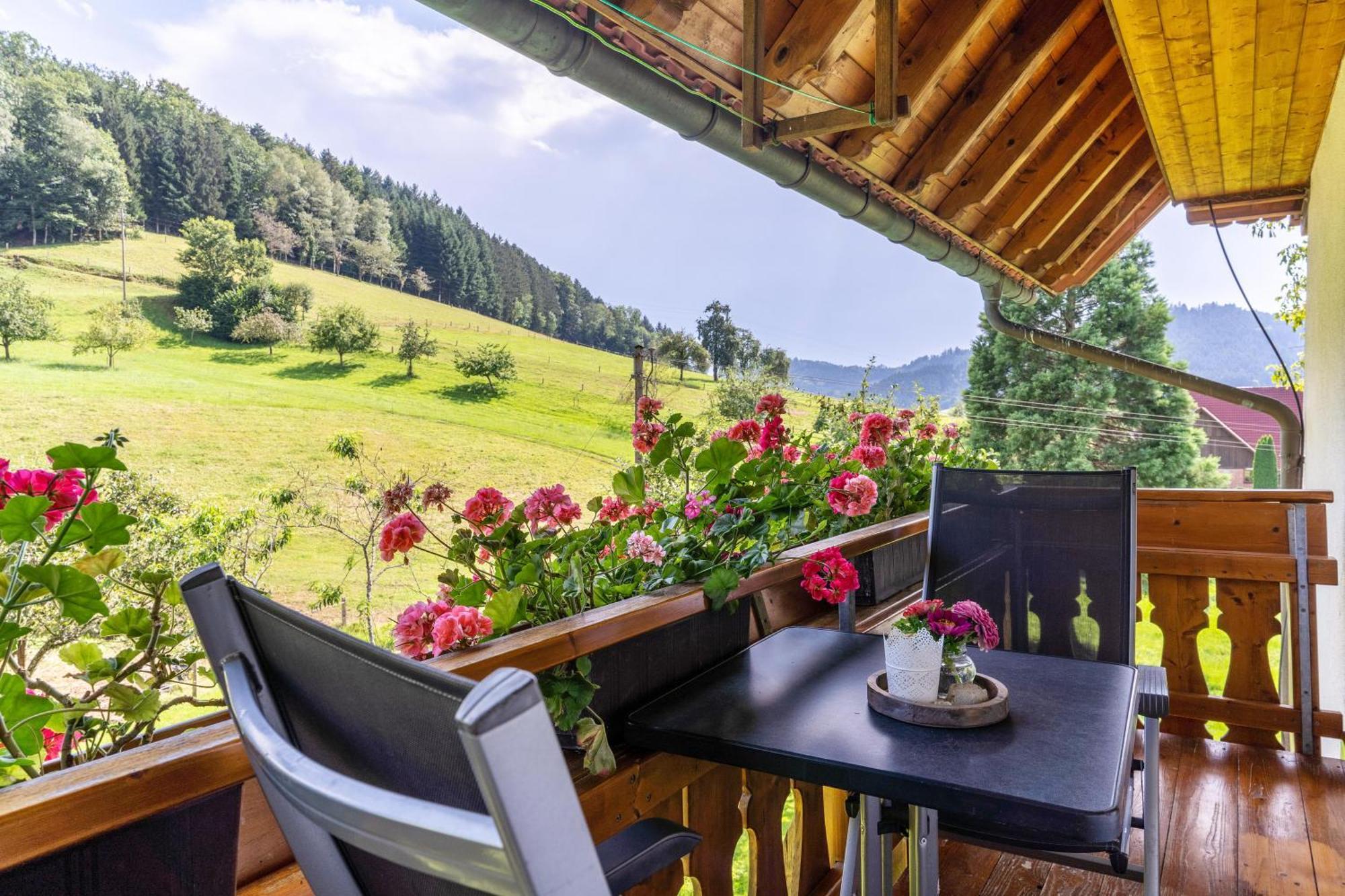 Ferienhaus Vollmer Nordrach エクステリア 写真